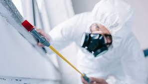 Best Pest Exclusion Services  in Lorain, OH